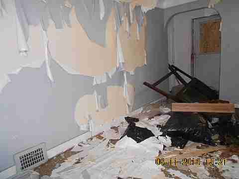 20151 Helen (9)_m.jpg